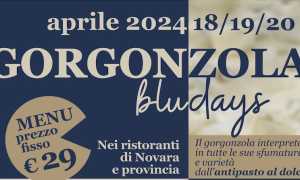 gorgonzola blu days