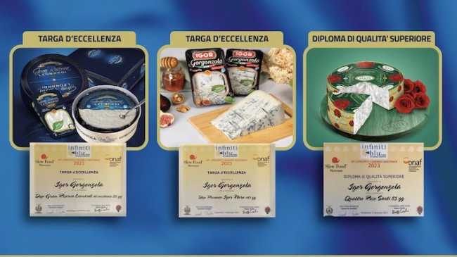 gorgonzola igor premio
