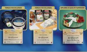 gorgonzola igor premio