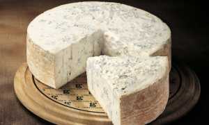 gorgonzola mezza forma