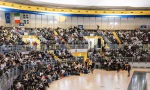 green game finalisti