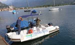 guardia costiera aus ago 25