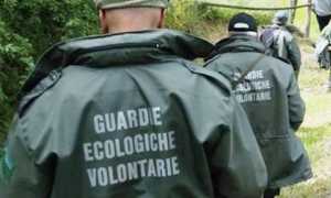 guardie ecologiche png