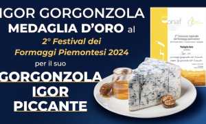 igor gorgonz oro festival form