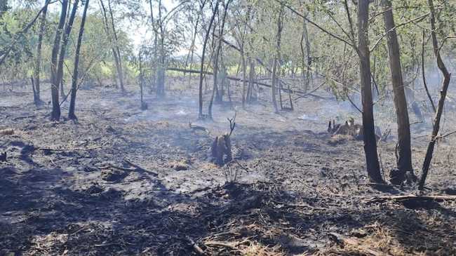 incendio barengo ago 25