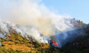 incendio bosco prato fumo