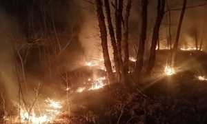 incendio parco ticino