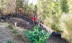 incendio sterpaglie vigile fuoco