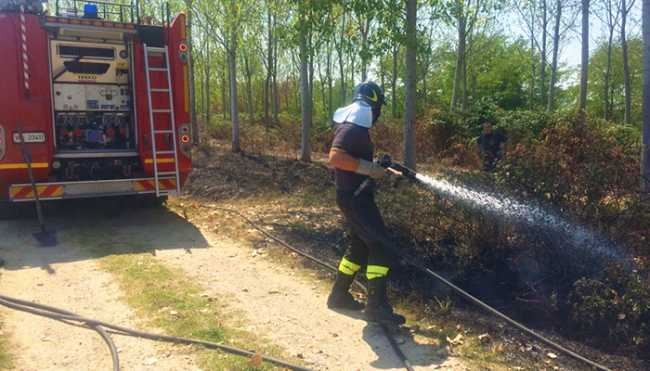 incendio sterpaglie vigili novara 3