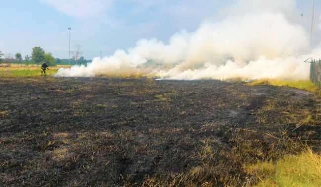 incendio sterpaglie vigili novara a