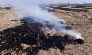 incendio vegetazione