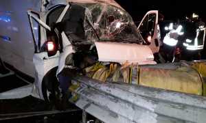 incid svinc biandrate