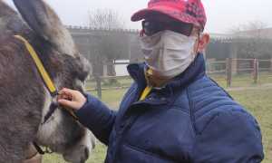 interventi assistiti asini