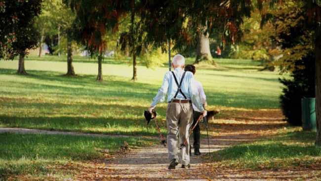 invecchiamento attivo