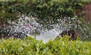 irrigazione giardino