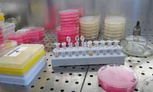 laboratorio