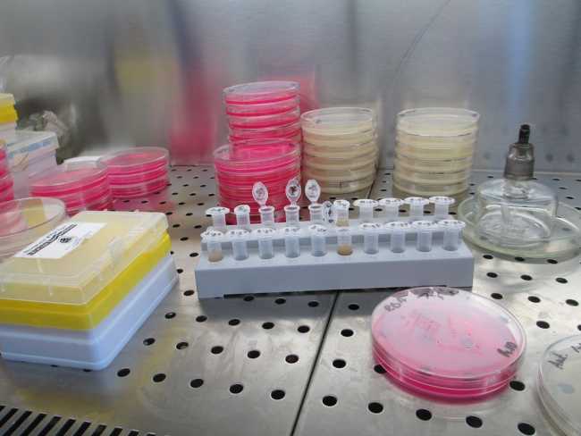 laboratorio