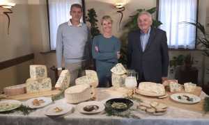 latteria cameri mela verde