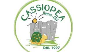 logo cassiopea novara
