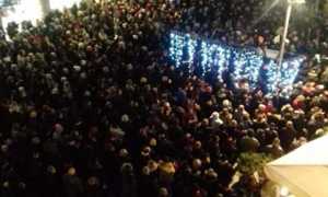 manifestazione sardine