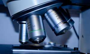 microscopio foto