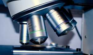 microscopio foto