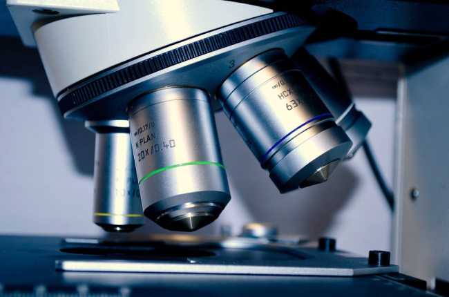 microscopio foto