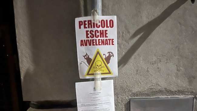 momo esche avvelenate