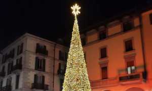 natale novara albero foto