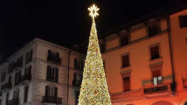 natale novara albero foto