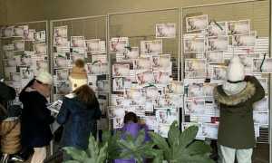 natale sun in 5 righe