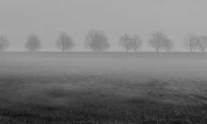 nebbia