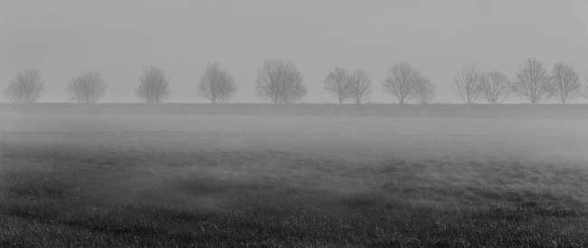 nebbia