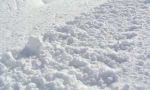 neve foto
