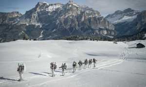 nizza cavalleria volpe bianca