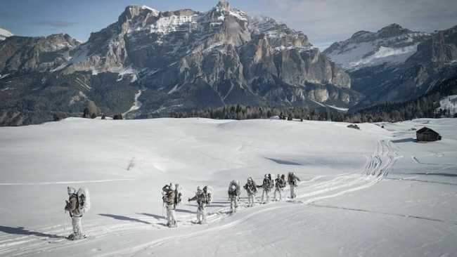 nizza cavalleria volpe bianca