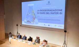 novamont roma materbi