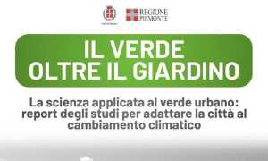 novara convegno alberi