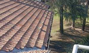 novara liceo coreutico canali