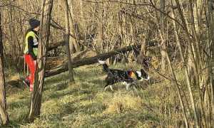 novara soccorso unita cinofila