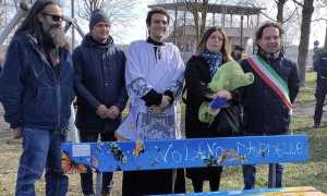 nuova panchina cameri