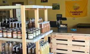 oleggio amica bolamperti