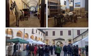 oleggio calici museo