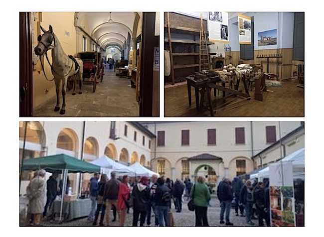 oleggio calici museo