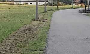 oleggio manutenzione