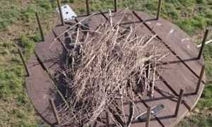 oleggio progetto cicogna