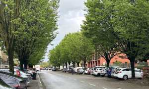 oleggio viale paganini