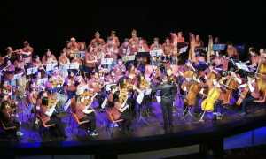 orchestra dedalo foto