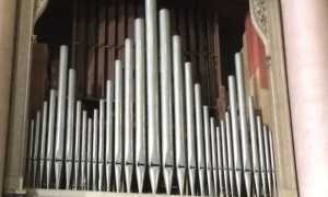organo