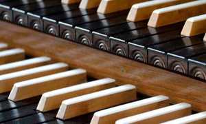 organo musica